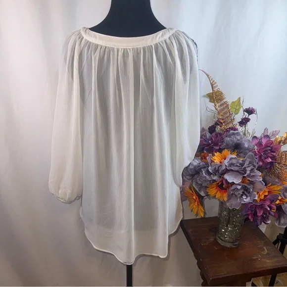 IN Studio Sheer Leopard Print Blouse Cream Black Boho Chic Top L - Picture 3 of 8